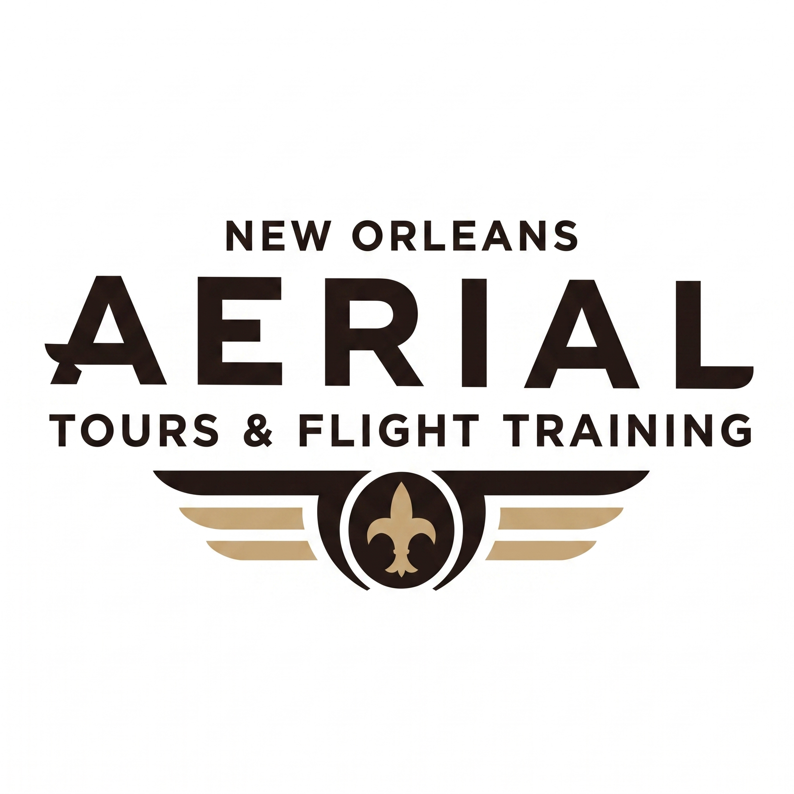 New Orleans Aerial Tours & Flight Training