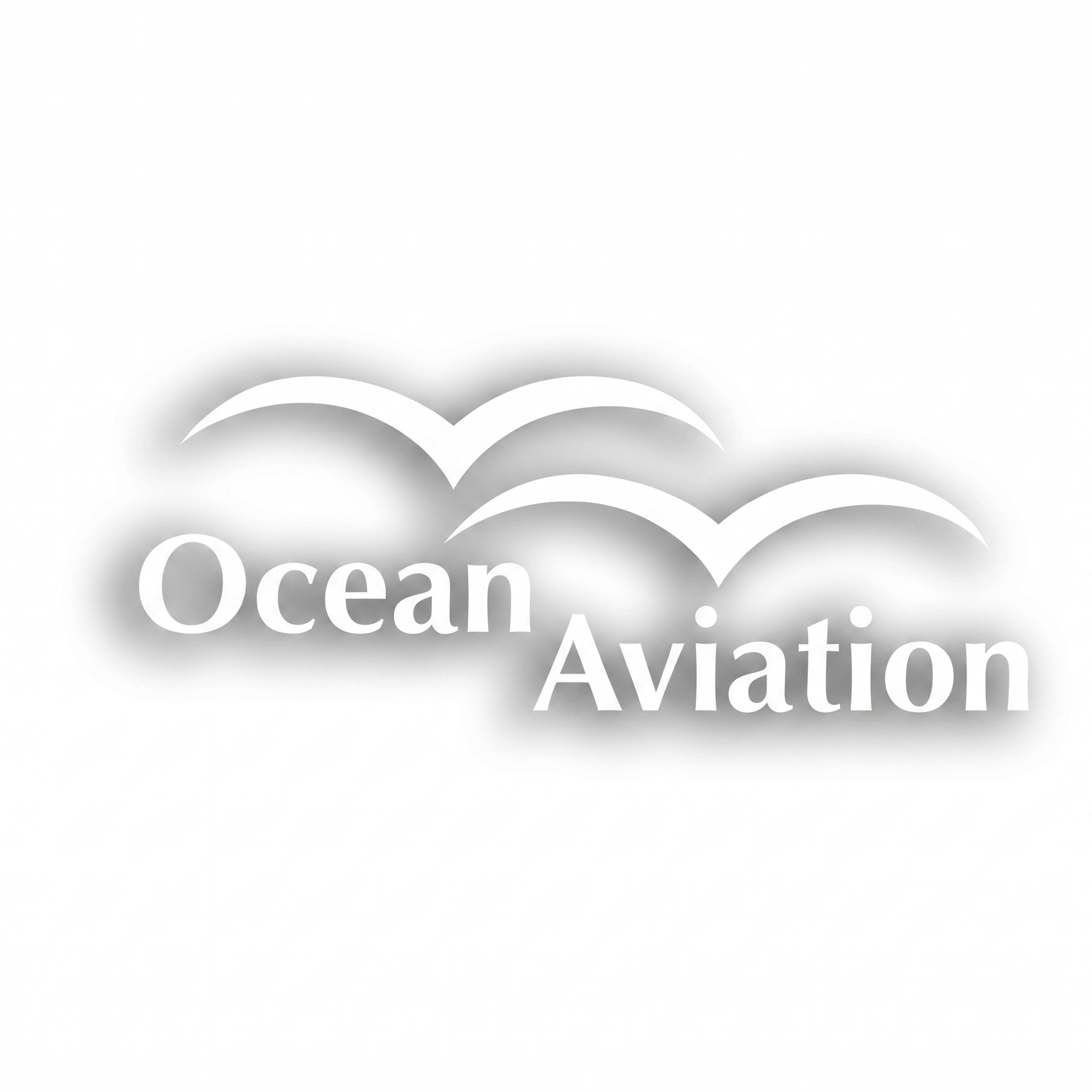 Ocean Aviation Flight Academy