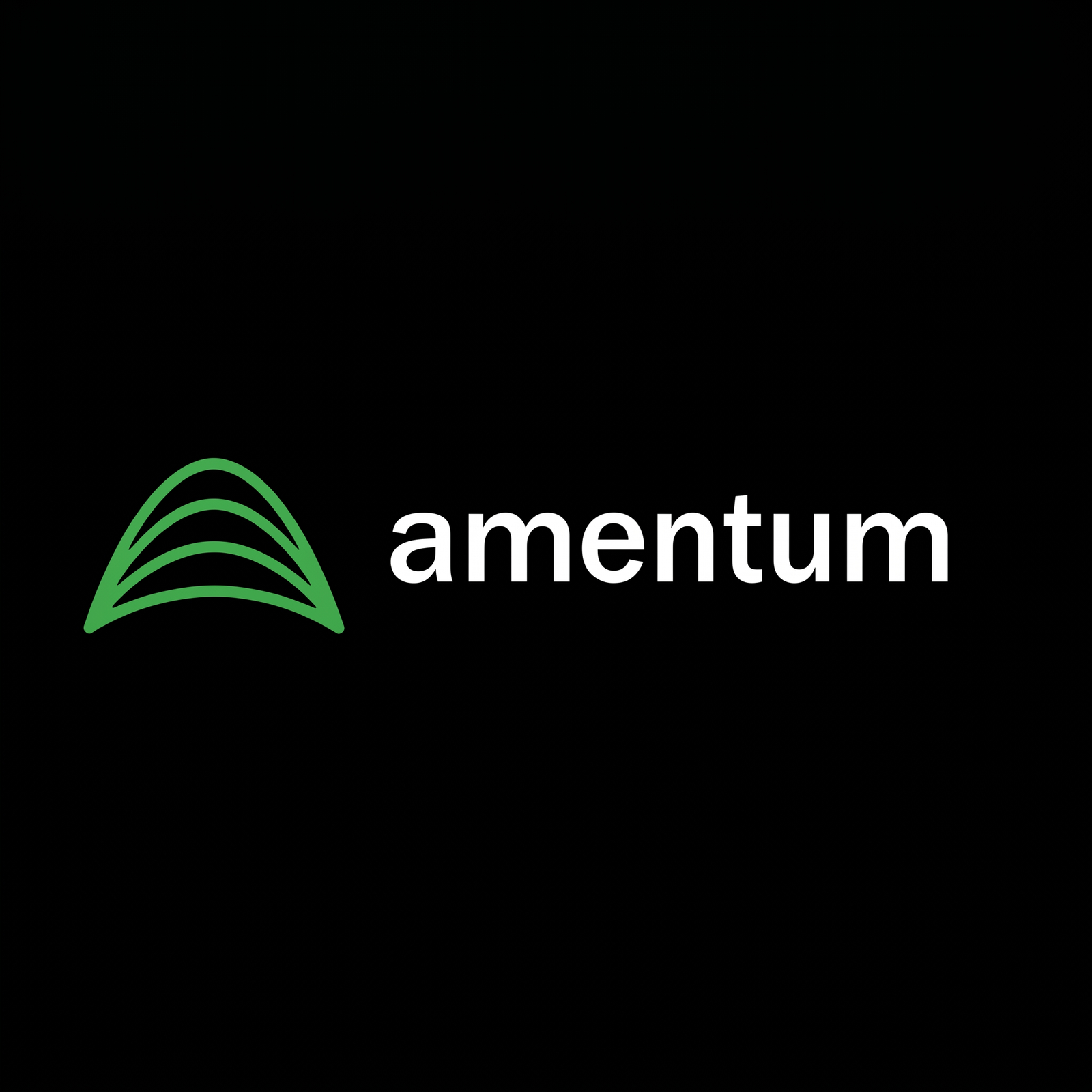 Amentum