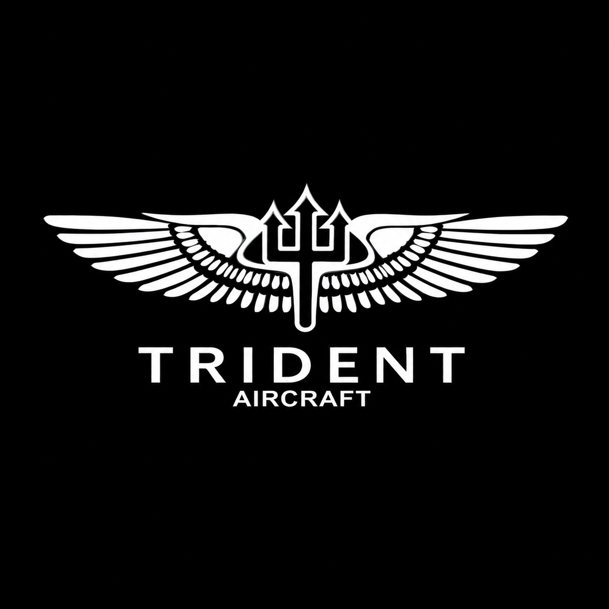 Trident Aircraft